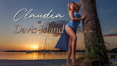 claudia blue dress davis island